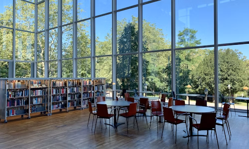 photo-1564981797816-1043664bf78d