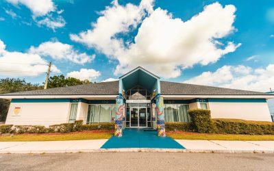 1dcab5c3-153f-4ab6-9873-756b514479d8